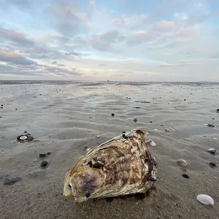 アパート Ferienwohnung im “ Haus Brandenburg“ Brandenburg, App 8